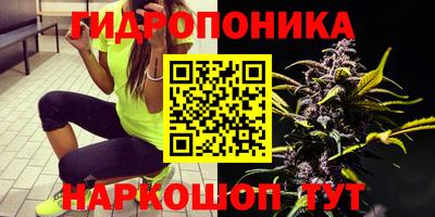 трава Тара